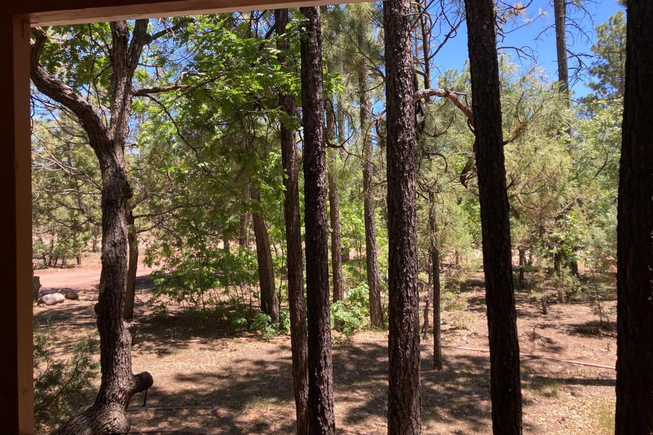 Tranquil Pines Retreat Villa Pinetop-Lakeside Exterior foto